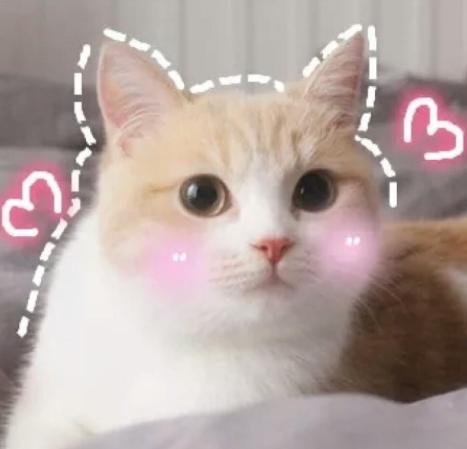 DƬ